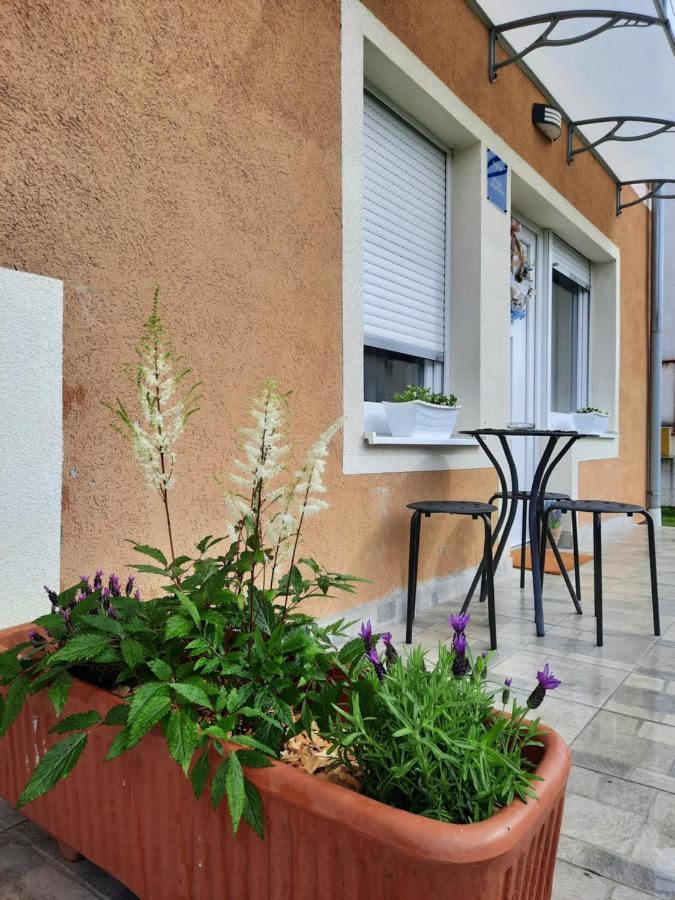 Apartmani Venium Krizevci Exterior photo