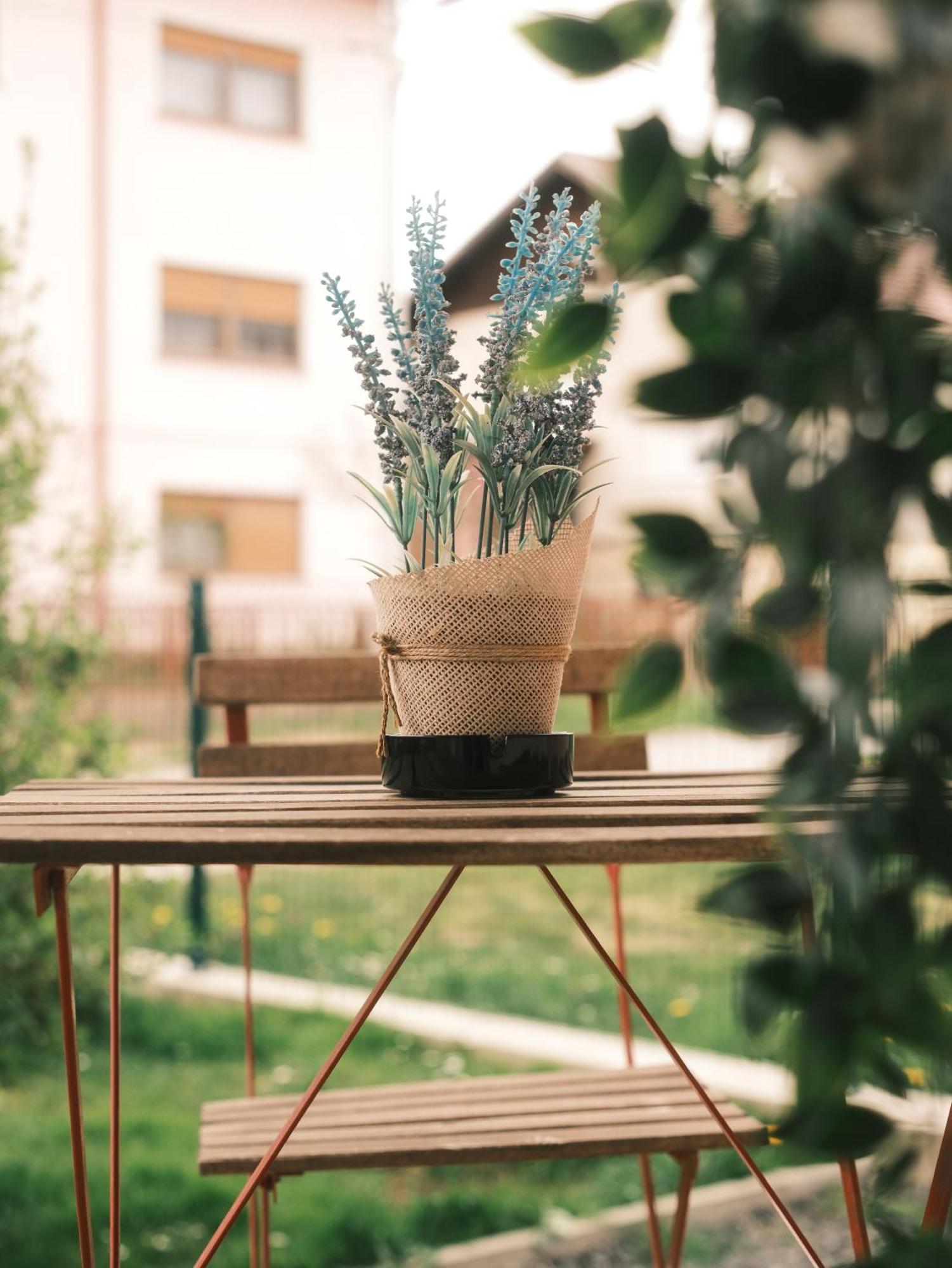 Apartmani Venium Krizevci Exterior photo